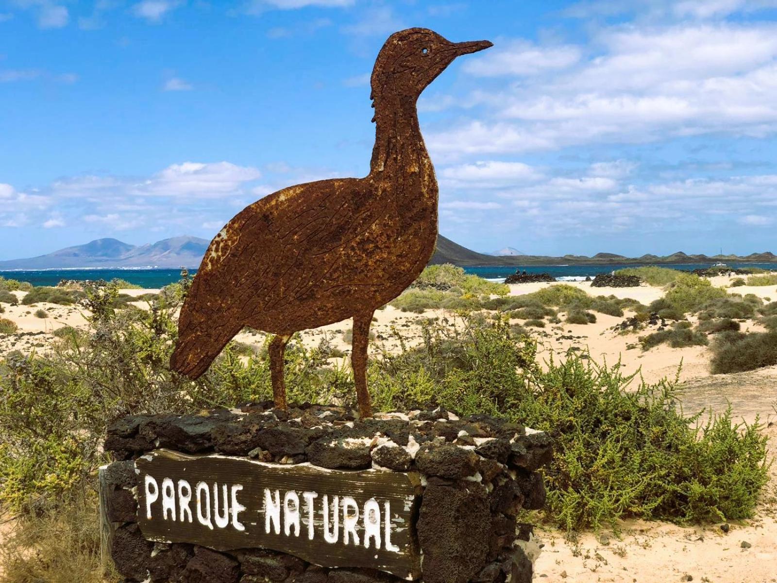Royal Blue Corralejo By Sea You There Fuerteventura Экстерьер фото